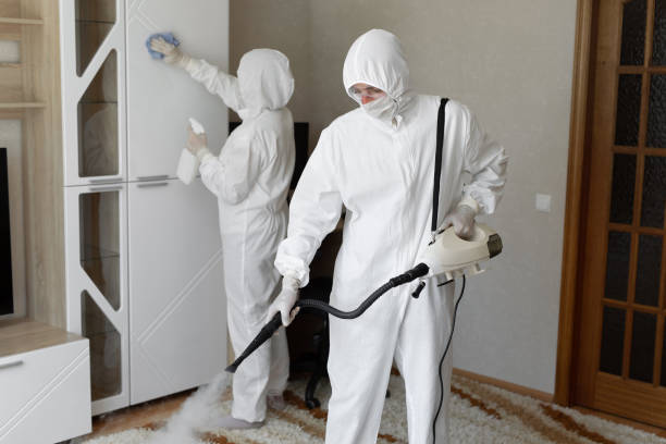 Best Industrial Mold Remediation in Bloomington, TX
