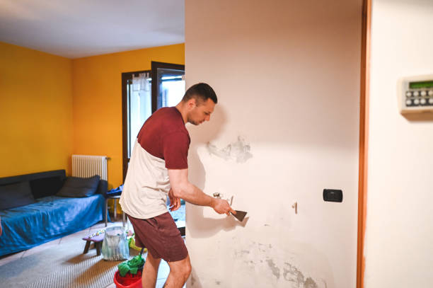 Best Black Mold Remediation in Bloomington, TX